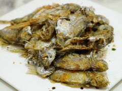 -常胜鲍鱼(吉大店)