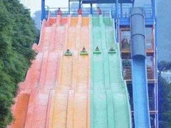 -重庆海昌加勒比海水世界