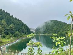 -武陵山森林公园