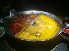 红颜花胶鸡锅-湊湊火锅·茶憩(石家庄万象城店)