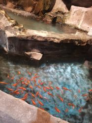 点击看大图 -宝燕乐园(闵行旗舰店)