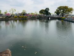 -无锡蠡湖国家湿地公园-蠡园