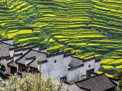 -婺源风景区