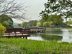 -新江湾城公园