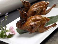 中山红烧乳鸽-金汇酒楼(中山东区店)