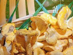 -菌山里·野生菌猪肚包鸡(阳光花园店)
