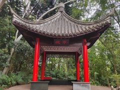 -深圳国际园林花卉博览园