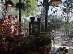 -自由生长植物工作室(深港花卉中心店)