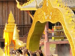 -西双版纳原始森林公园