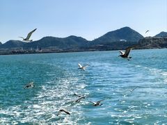 -海驴岛(荣成市)