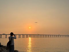 -宝安西湾红树林湿地公园