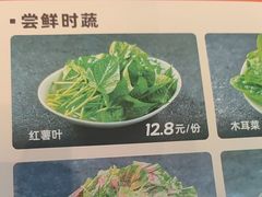 -蒙都43°9羊火锅·赤峰美食(宁城店)