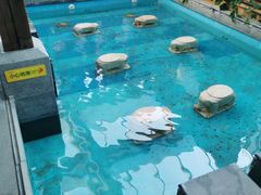 -固安来康郡来康温泉