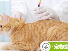 -纳吉亚猫专科动物医院·北北分院