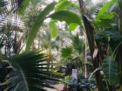 -国家植物园南园