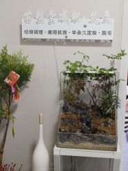 -苗塑堂减肥·艾灸