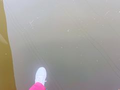 -金银湖国家城市湿地公园