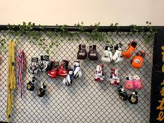 -体育科代表搏击散打体能训练馆(陶然亭店)