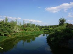 -白鹭湾湿地公园