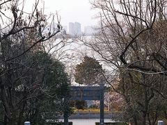 -云龙山