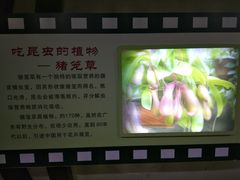 -上海昆虫博物馆