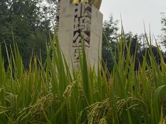-北坞公园