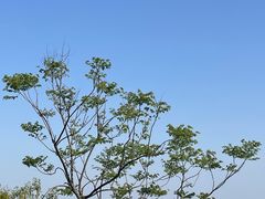 -杭州半山国家森林公园