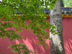 -苏州文庙(姑苏区)