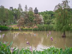 -海珠湖公园
