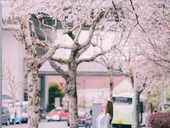 -上海南浦大桥长途旅游客运站