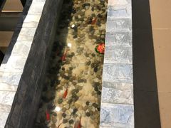 -ZDS巴蜀撸串串香