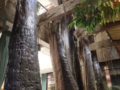 大堂-大树头·花园餐厅(市桥店)