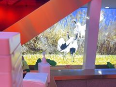 -杨记齐齐哈尔烤肉(总店)