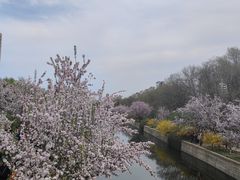 -元大都城垣遗址公园