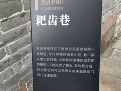 -碧江金楼