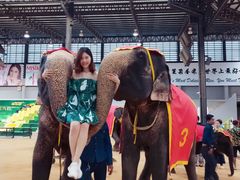-东芭乐园