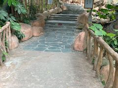 -观澜山水田园
