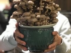 活体菌菇-捞王锅物料理(上海世茂广场店)