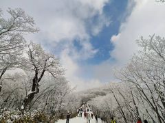 -安吉龙王山风景区