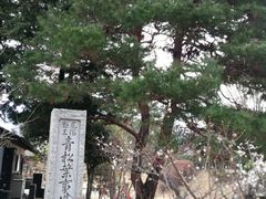 -名古屋城