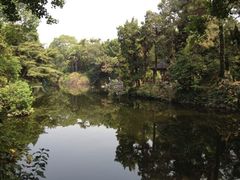 -叶家花园