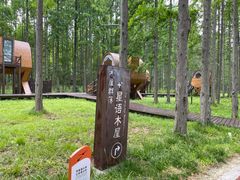 -黄海国家森林公园