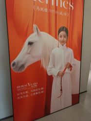 点击看大图 -大树儿童摄影