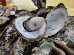 -蚝哥花姐湛江烤生蚝(美丽湾市场店)