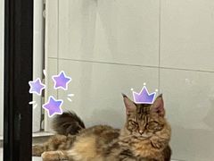 -1013 PET SHOP 宠物商店(近铁城市广场店)