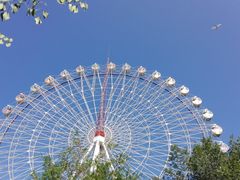 -青城公园