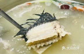 Blind Fish Health Pot