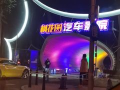 -枫花园汽车电影院(朝阳公园店)