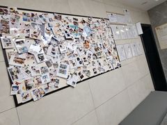 -半岛宠物医院24小时(白果林店)