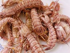 -宾朋海鲜饭庄(兴海路店)